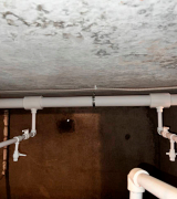 Бардина дом 1